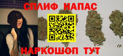 скорость Пугачёв
