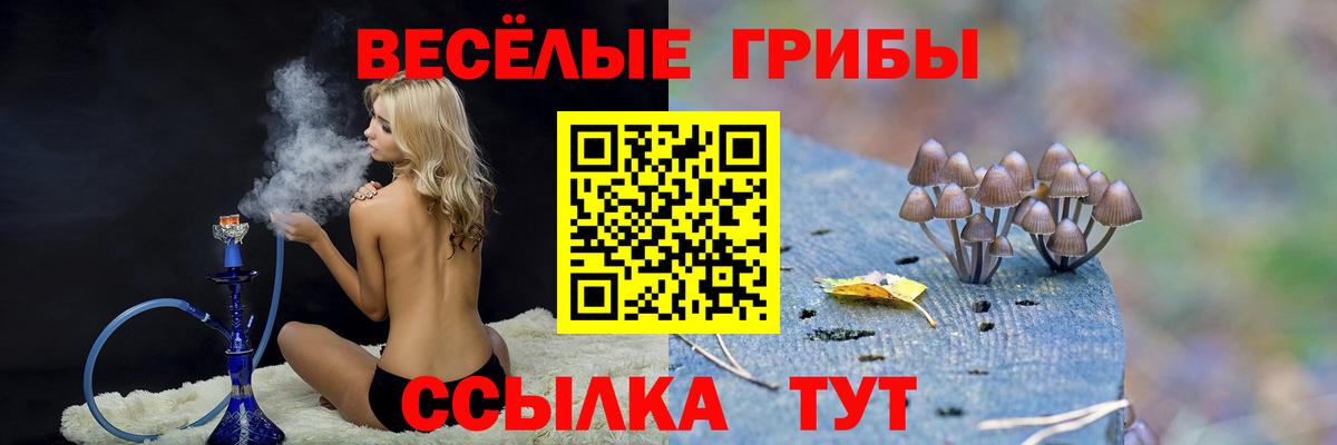 где продают наркотики  Вход с VPN  Строитель  Галлюциногенные грибы Psilocybe  Галлюциногенные грибы Psilocybe 