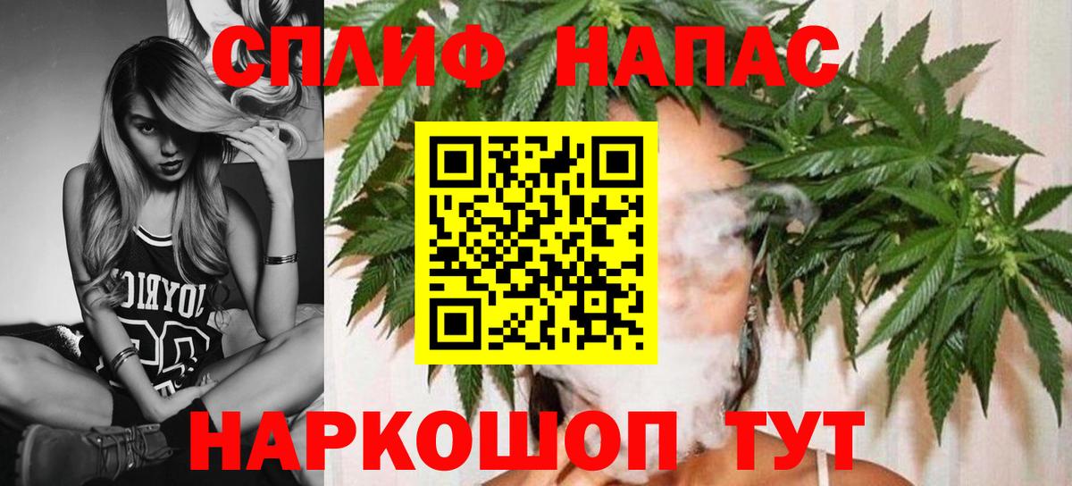 Каннабис марихуана  Вход с VPN  Строитель  МАРИХУАНА Bruce Banner  Конопля сатива 